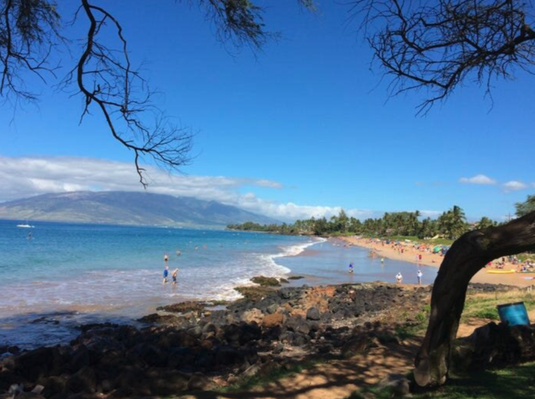 The Grand Wailea Resort, Maui Hotel Review