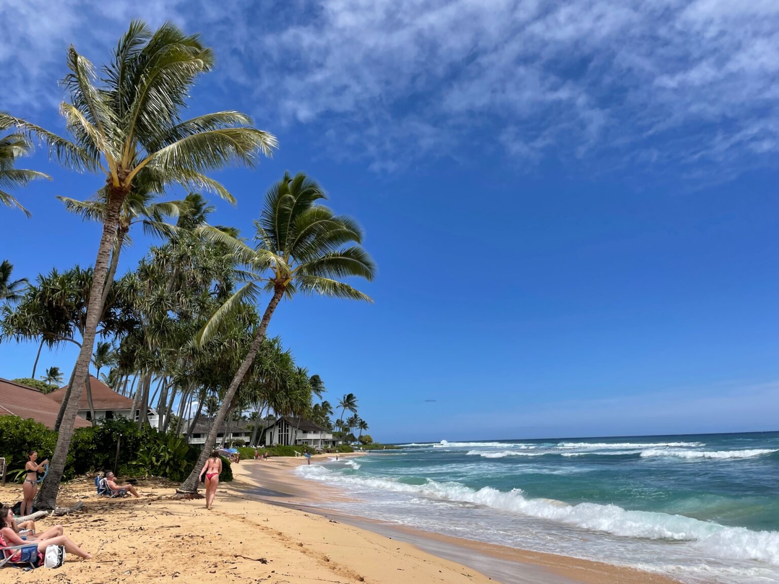 How Long is a Flight to Hawaii? + Tips For Long Flights Marla Cimini