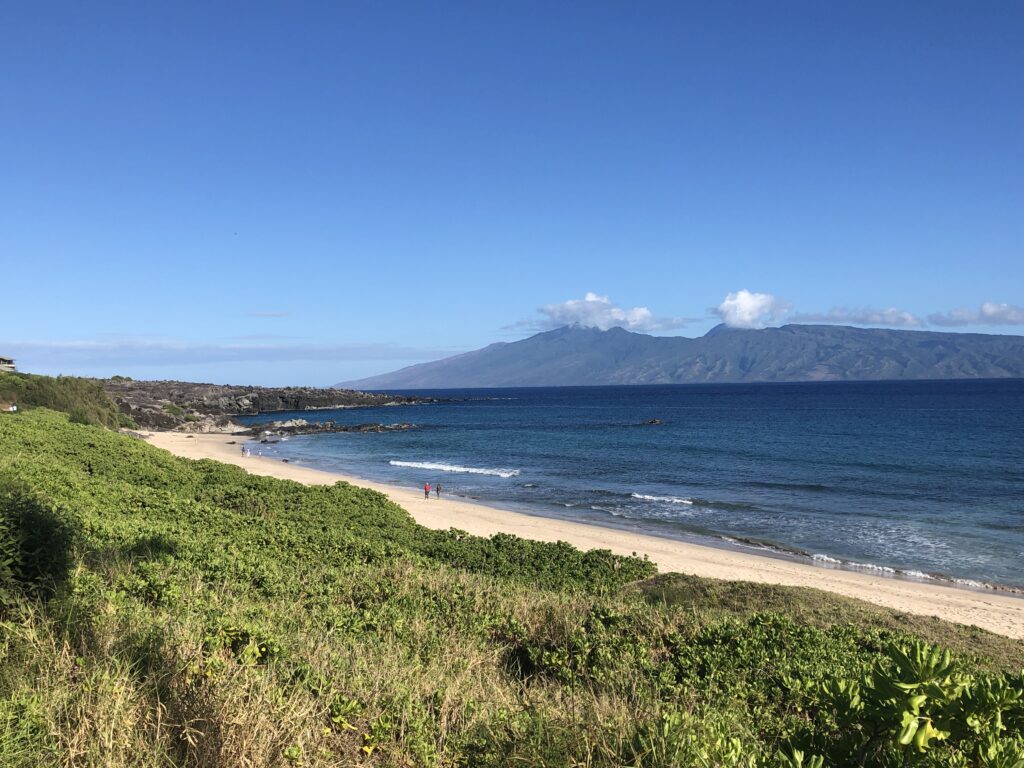 A view of the beach on the island of Maui with green foliage in the foreground and the Pacific Ocean beyond. 