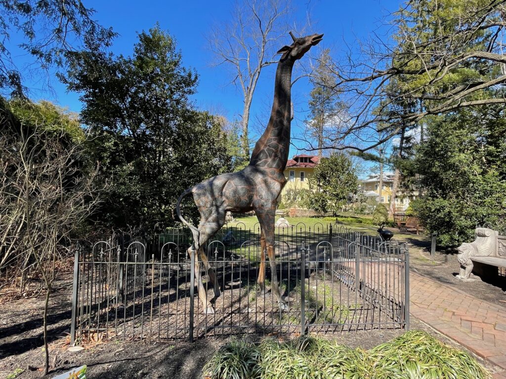 A view of a bronze giraffe in the Haddonfield Sculpture Zoo in New Jersey. Blue skies beyond. 